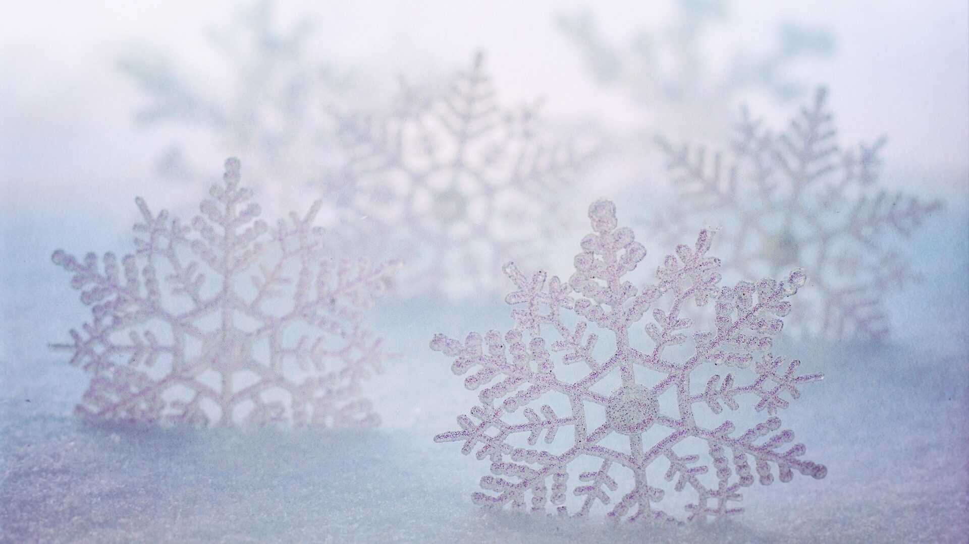 ARD Mediathek Filme: Die besten Highlights jetzt streamen 2 Eiskristalle in Nahaufnahme.