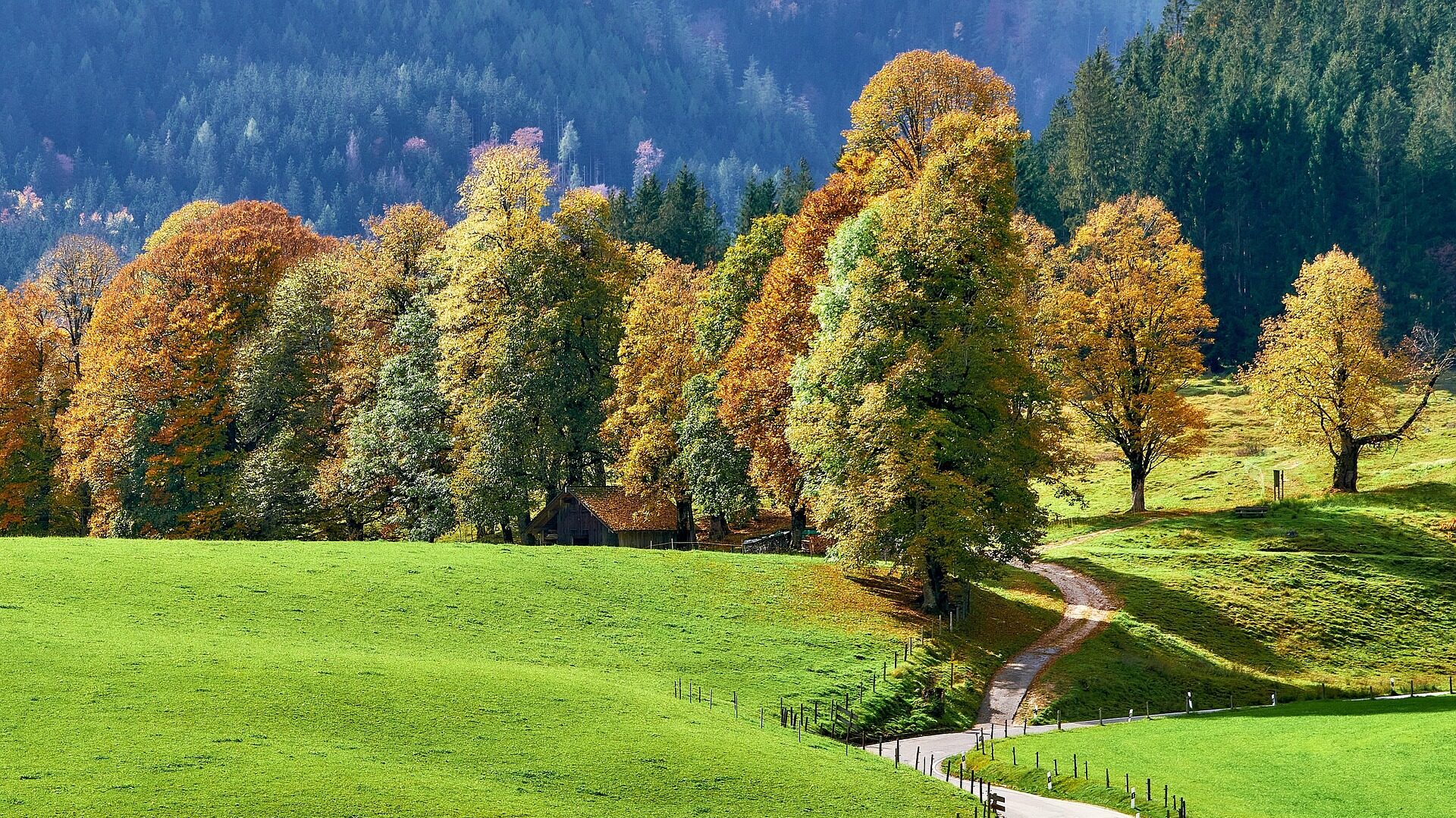 Die Landarztpraxis: Serien-Guide zu Staffeln, Figuren & mehr 2 Ländliche Idylle und emotionale Herausforderungen.