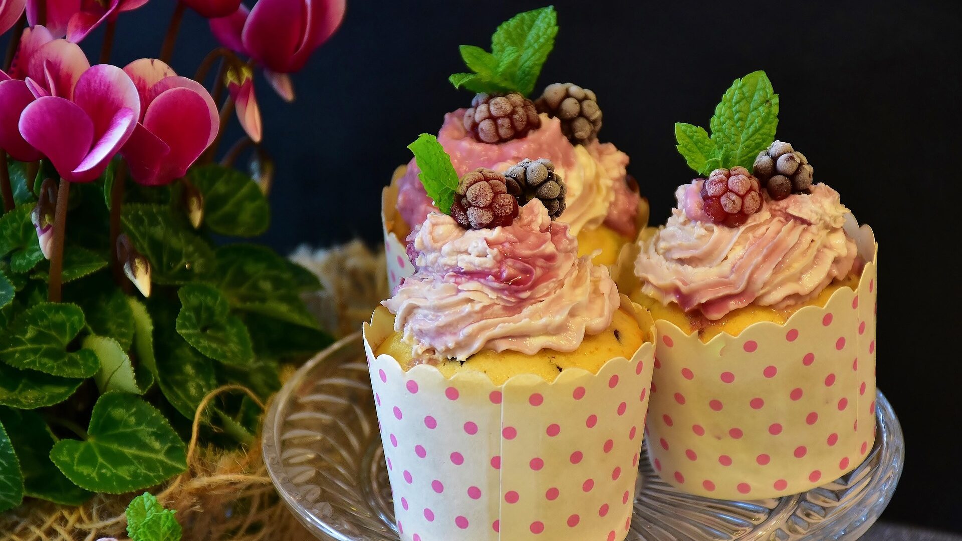 Das große Backen 3 Cupcakes gelingen auch zu Hause.