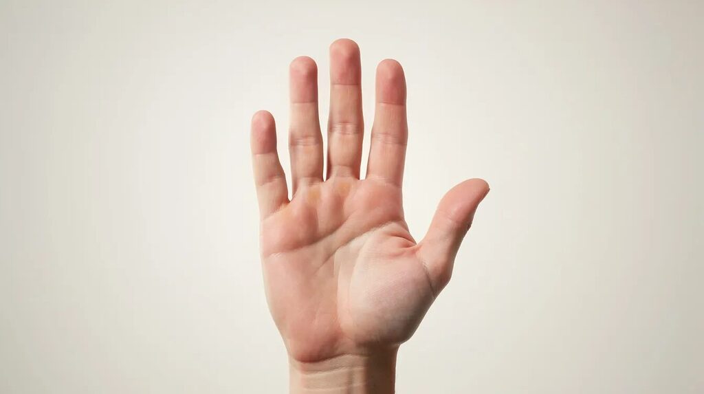 Dumme Fragen: Warum sie wichtig sind, zum Nachdenken anregen und oft richtig gute Antworten bringen 4 Das Bild zeigt eine offene Hand vor einem hellen Hintergrund, die eine einladende Geste macht, als ob sie Fragen aufwirft oder Antworten anbietet. Diese Darstellung regt zum Nachdenken und zu einem freundlichen Gespräch an.
