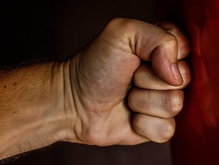 Sylvester Stallone Serie: Von „Tulsa King“ bis „The Family Stallone