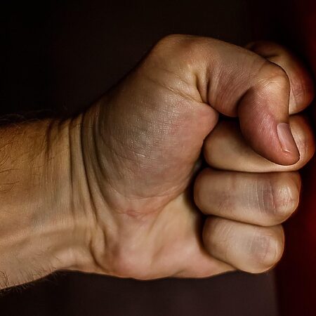Sylvester Stallone Serie: Von „Tulsa King“ bis „The Family Stallone